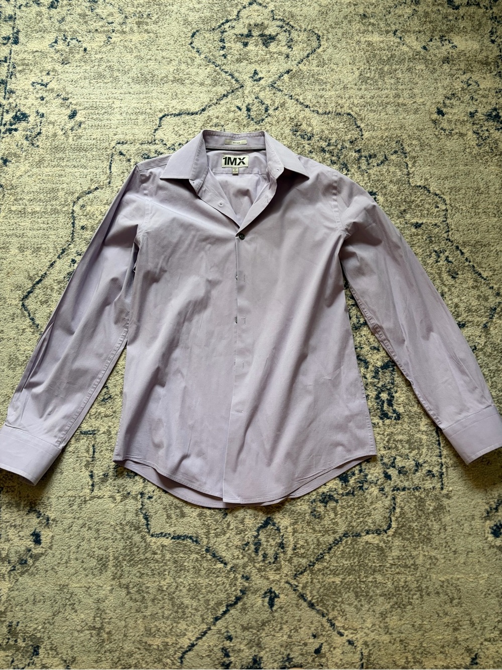 Express Men's Lavender Dress Shirt